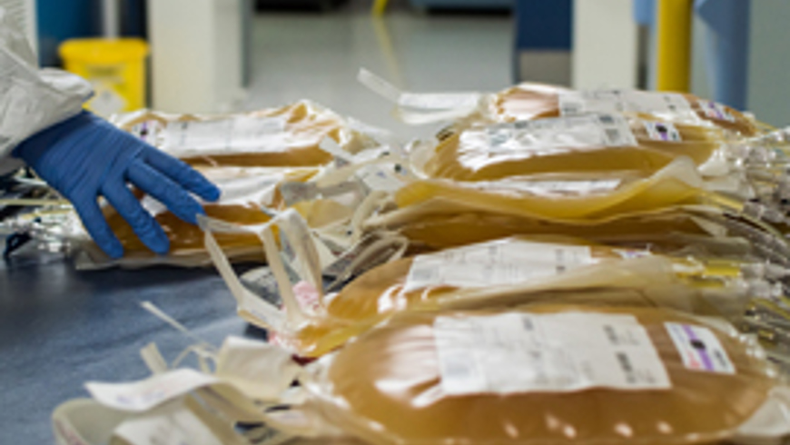 platelets bags
