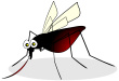 cartoon of mosquito summary image