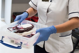 During Donation summary image