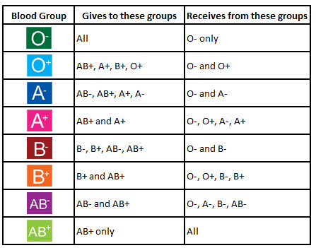 Blood Group Basics - Irish Blood Transfusion Service  The Best Blood Group For Good Health And Longevity Blood Compatability Group