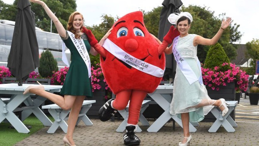 MissingType Rose of Tralee 2