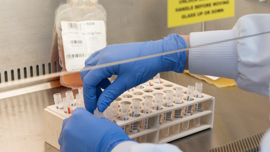 keeping blood safe