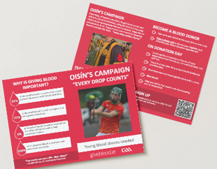 flyer for oisins campaign