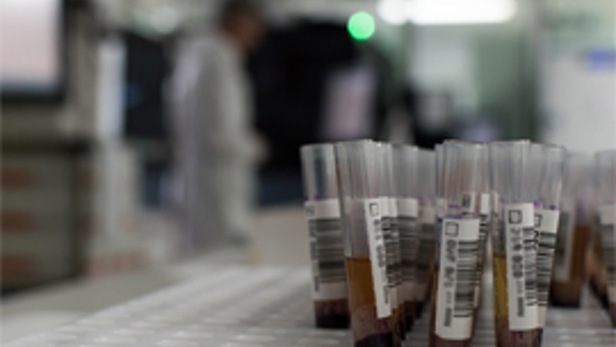 what is bone marrow final